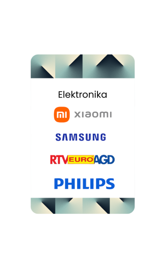 Elektronika